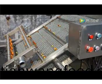 臨安(an)市超(chao)越(yue)食(shi)品(pin)大棗清(qing)洗(xi)拋光風(fēng)(feng)榦線(xian)